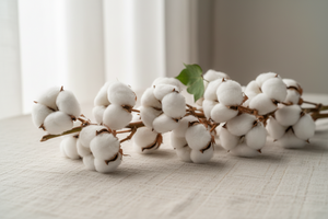100% Organic Cotton Babywear